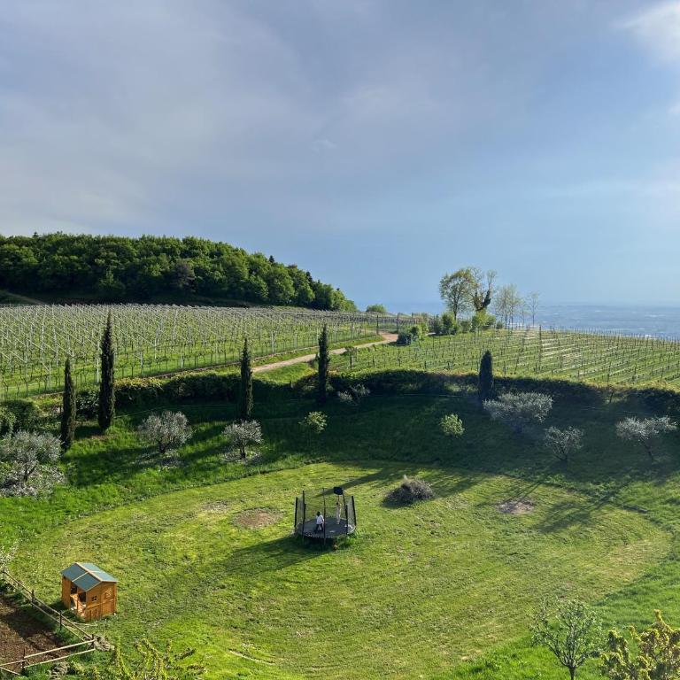 Ca' del Buso - Superior Apartment - 38