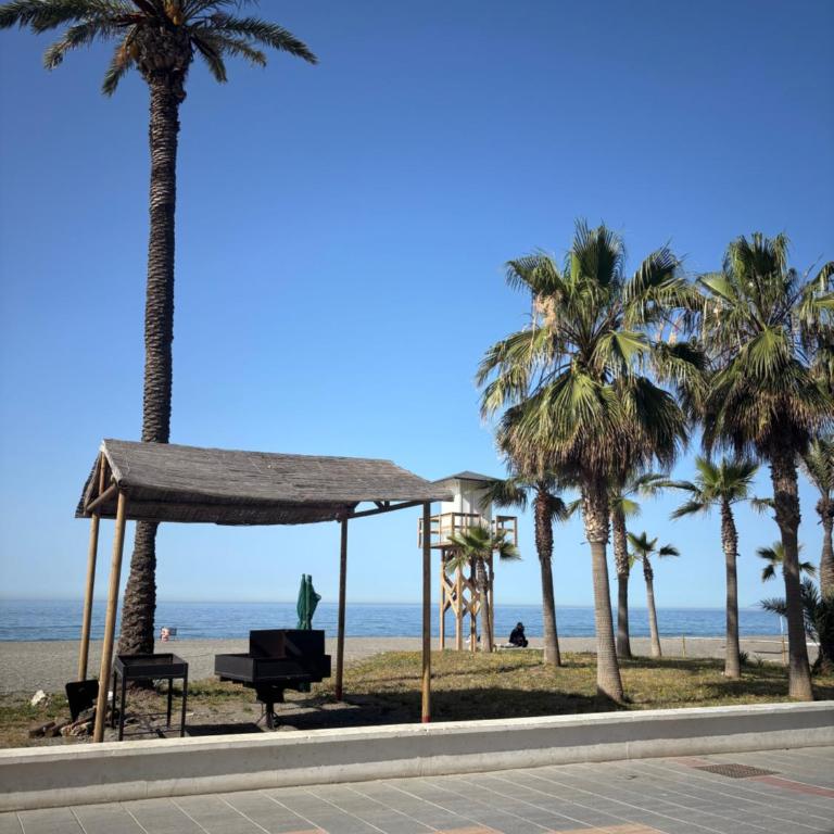 Apartamento Torcasol - Apartamento de 3 dormitorios - 3