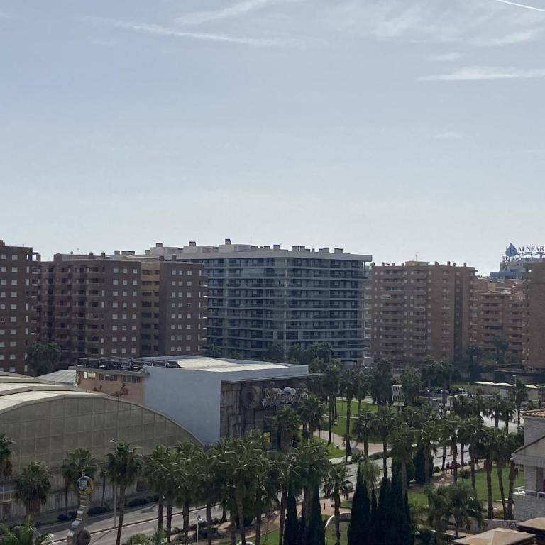 Neptuno 7 Planta Terraza Deluxe - Apartamento - 13