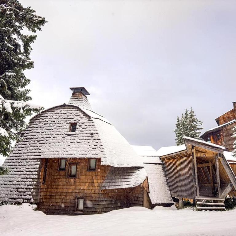 Appartement ambiance chalet Avoriaz - Appartement 1 Chambre - 43