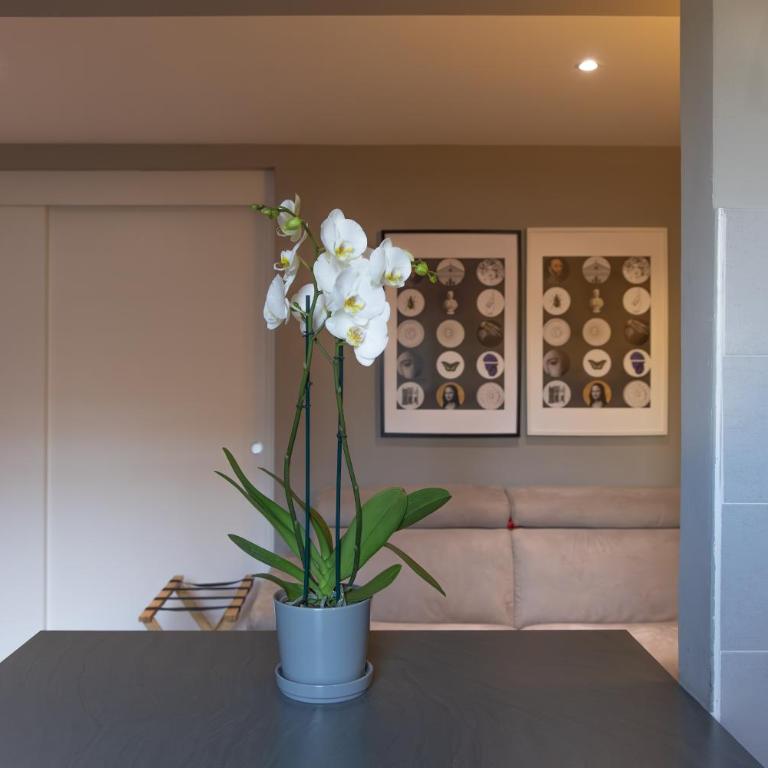 Collegio di Spagna 13 - One-Bedroom Apartment - 22