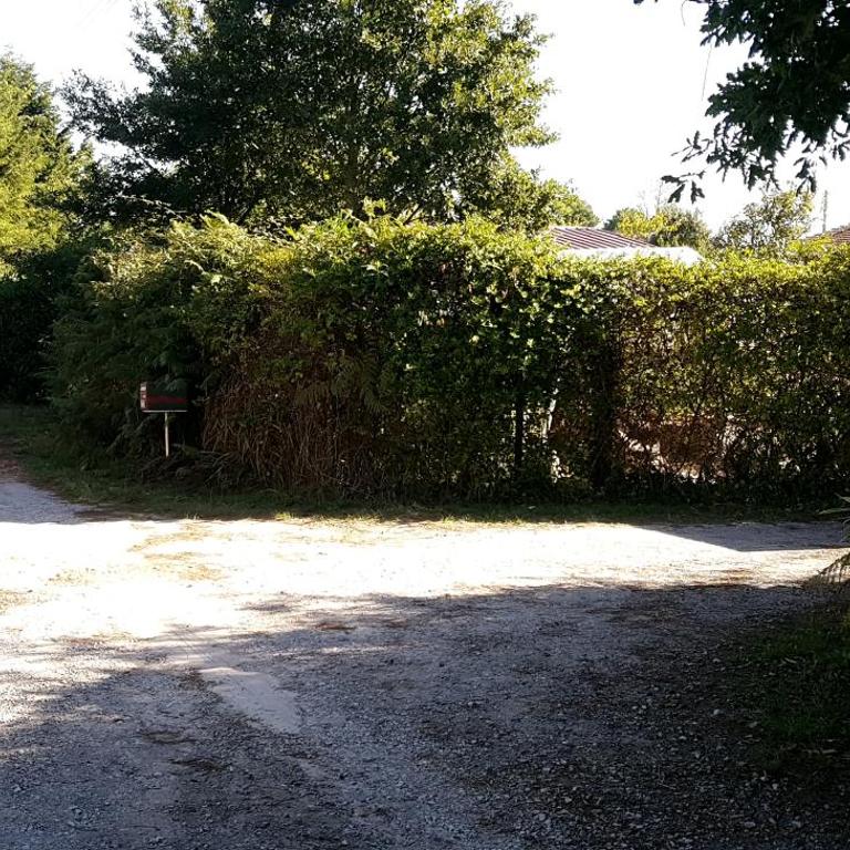L'Hermitage au sein d'un jardin forêt près de l'océan - Caravane - 5