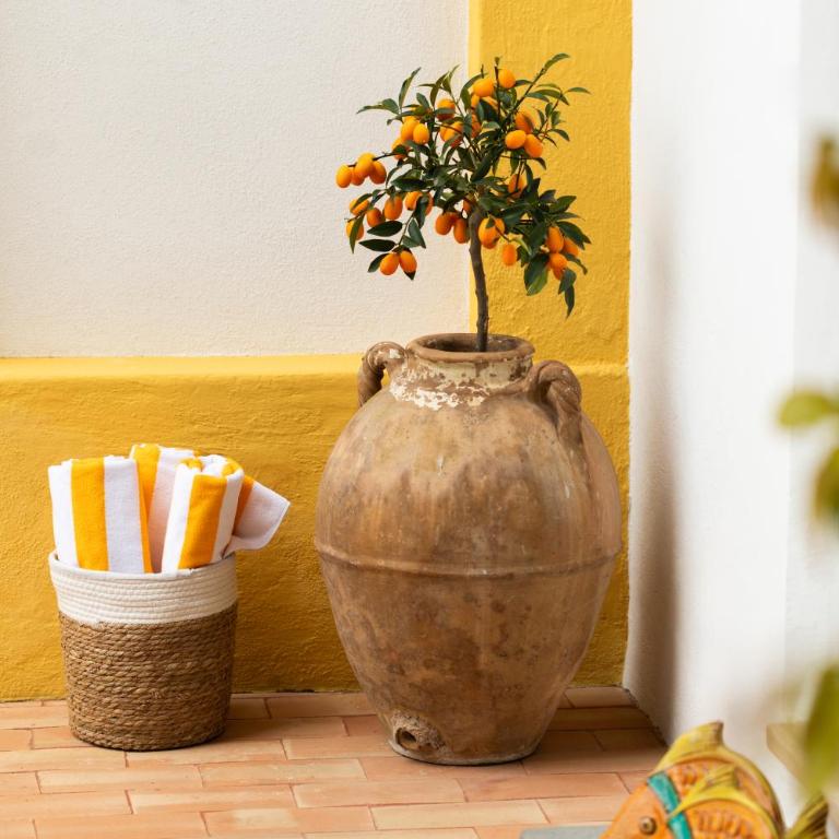 Villa Cocles - Positano - Villa Deluxe - 90