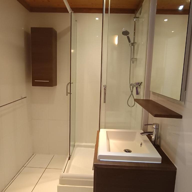 Appartement rénové style chalet, à deux pas des pistes - FR-1-445-162 - Appartement (6 Adultes) - 9
