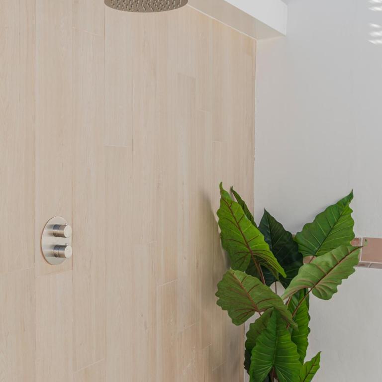 ISG Apartments Faustino 45-0 - Apartamento de 5 dormitorios - 38