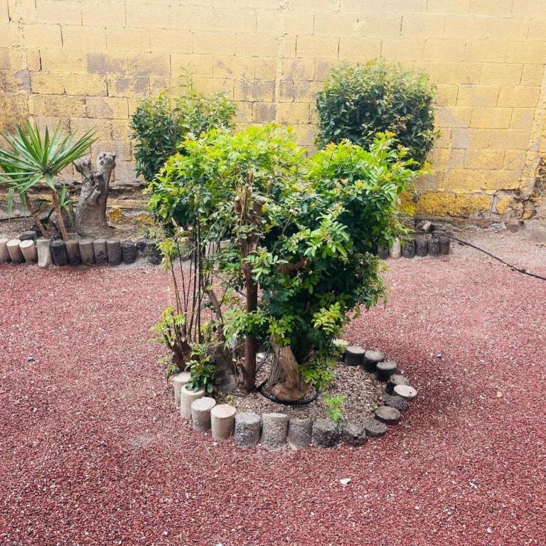 Cozy 2-Bed & Sofa-bed Studio - Pool Wifi Pets - Estudio Estándar - 22