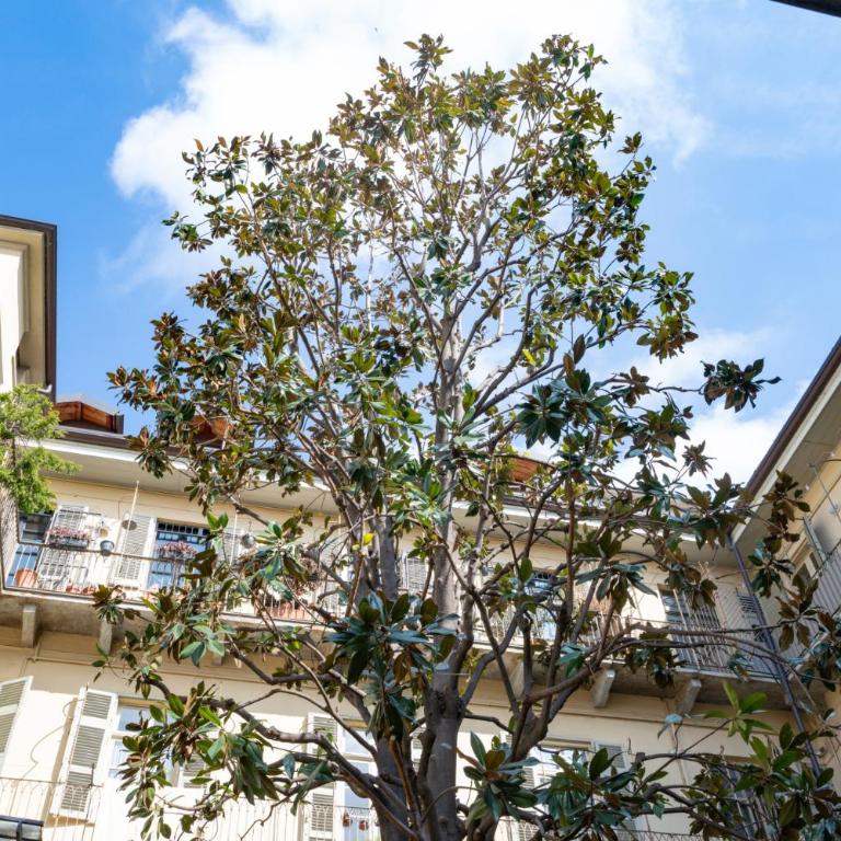 Le Petit Torino - Apartment - 14