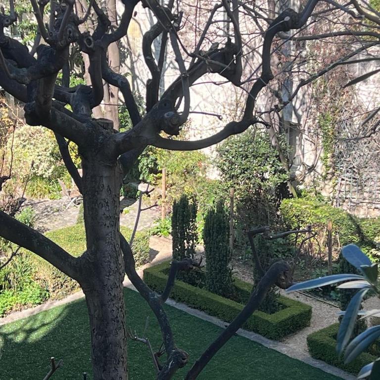 Loft Paris 6 - Saint-Germain-des-Prés - - Appartement - 10