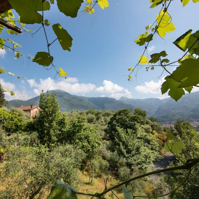 Villa Doriana casale toscano vicino a Camaiore - Five-Bedroom House - 46
