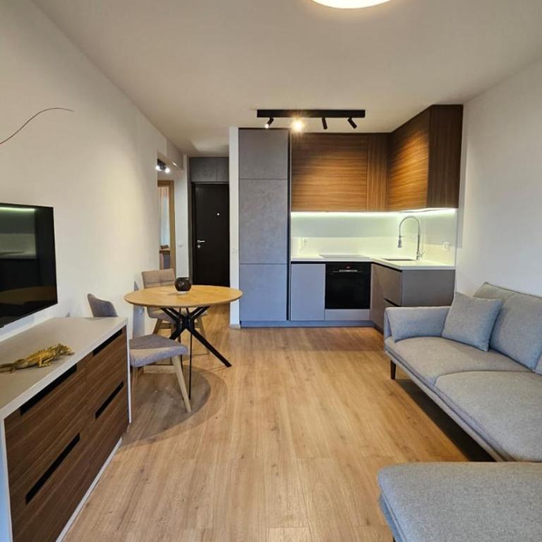 Vika Budva - Apartman sa 2 Spavaće Sobe - 12
