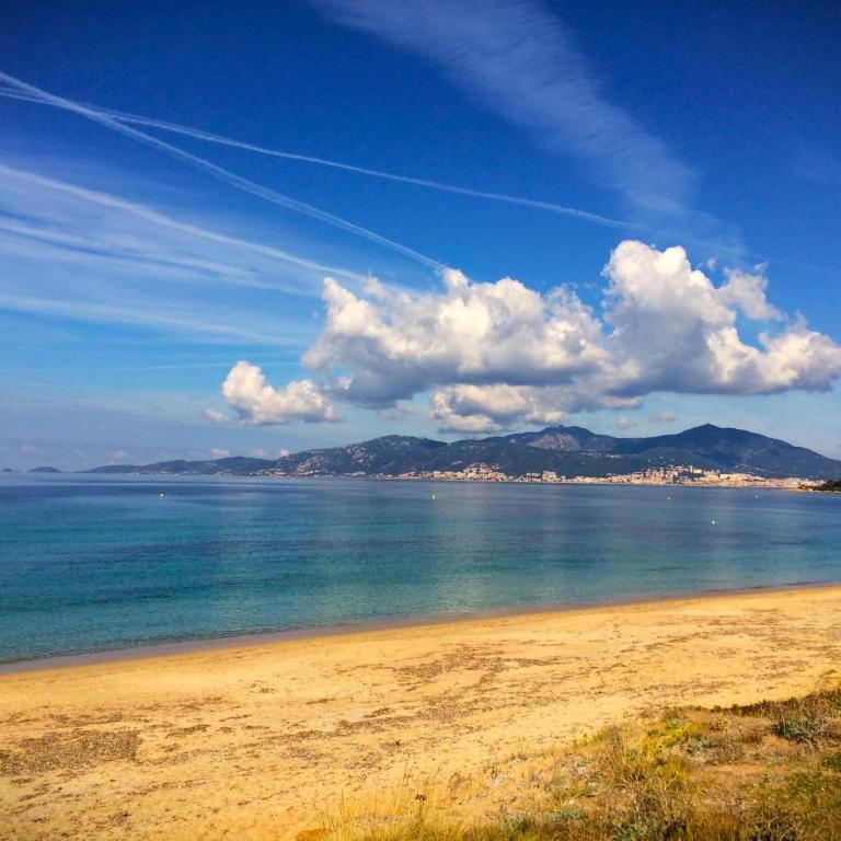 Grand T2 STANDING AJACCIO Proche centre et plages VUE PANORAMIQUE PARKING PRIVE - Appartement 1 Chambre - 40