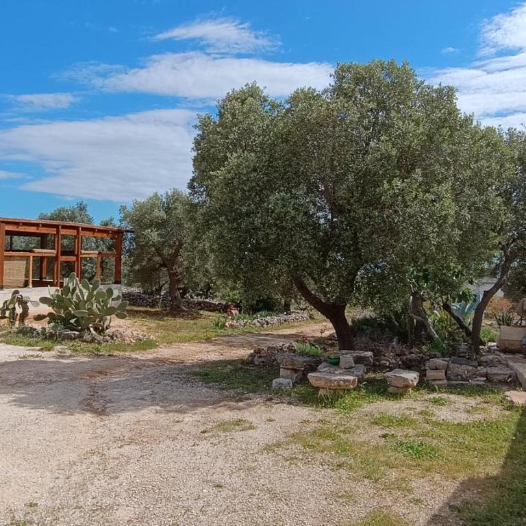 Trulli Vāyu - Casa Vacanze - 5