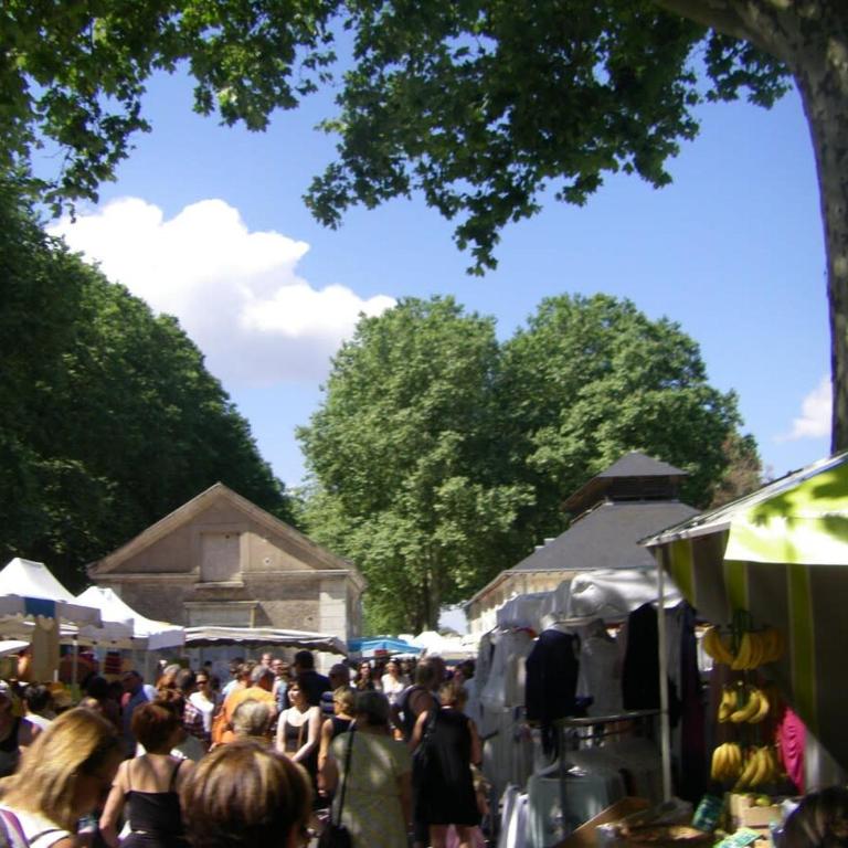 gîte des martinets and its corner of greenery - Haus mit 1 Schlafzimmer - 10