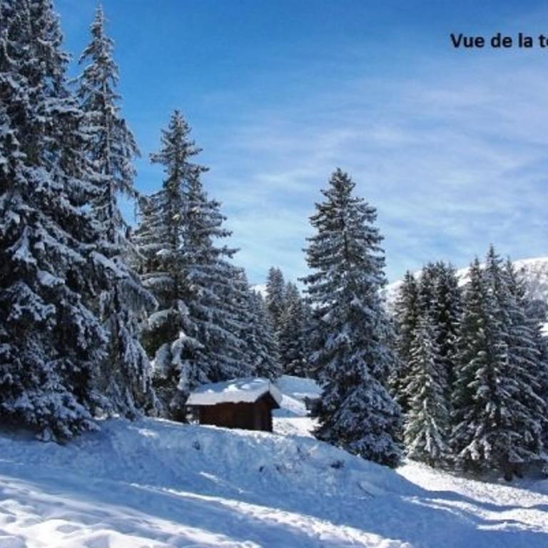 Appartement lumineux 2 pièces à Crève Coeur, proche pistes et commerces - FR-1-356-271 - Appartamento (5 Adulti) - 8