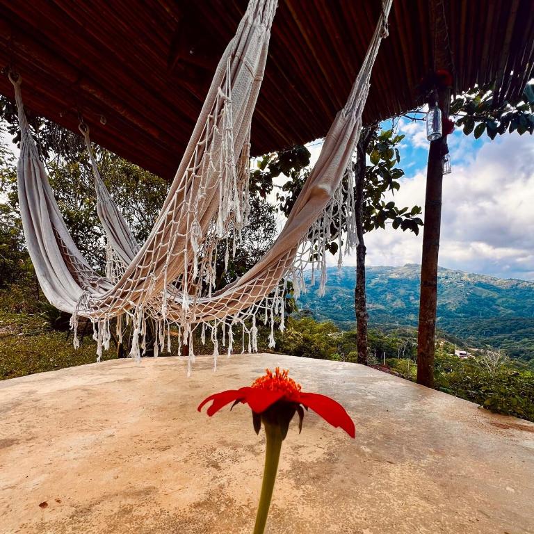 Private cabin with mountains view - One-Bedroom House - 15
