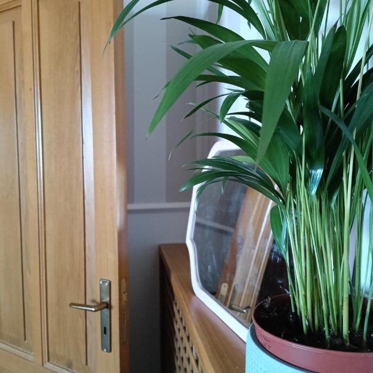 Zillo House, attico in Rimini - One-Bedroom House - 3