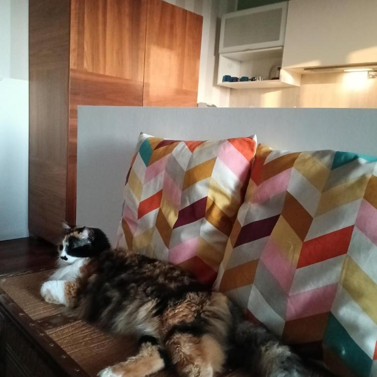 Zillo House, attico in Rimini - One-Bedroom House - 15