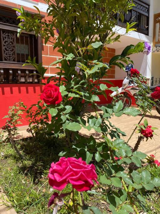 Casa La Arboleda - Casa de 4 dormitorios - 19