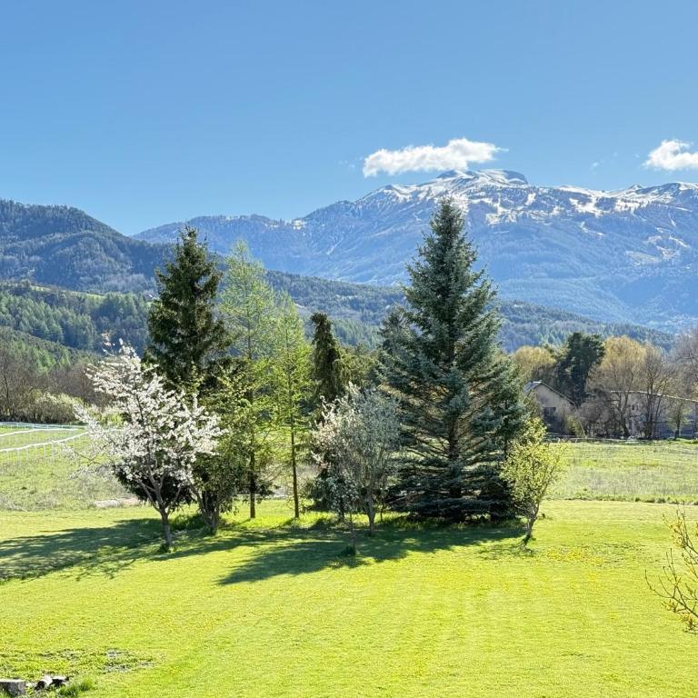 T4 le pont long - Apartamento - 15