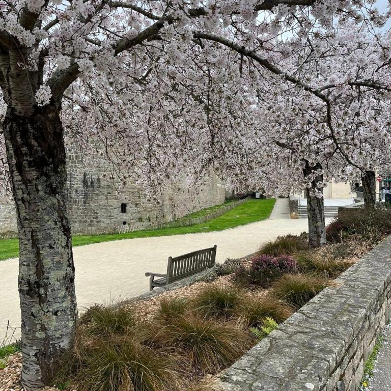 La casa de Sophie T3 avec jardinet, Parking privé - Port de Vannes - Appartamento con 2 Camere da Letto - 42