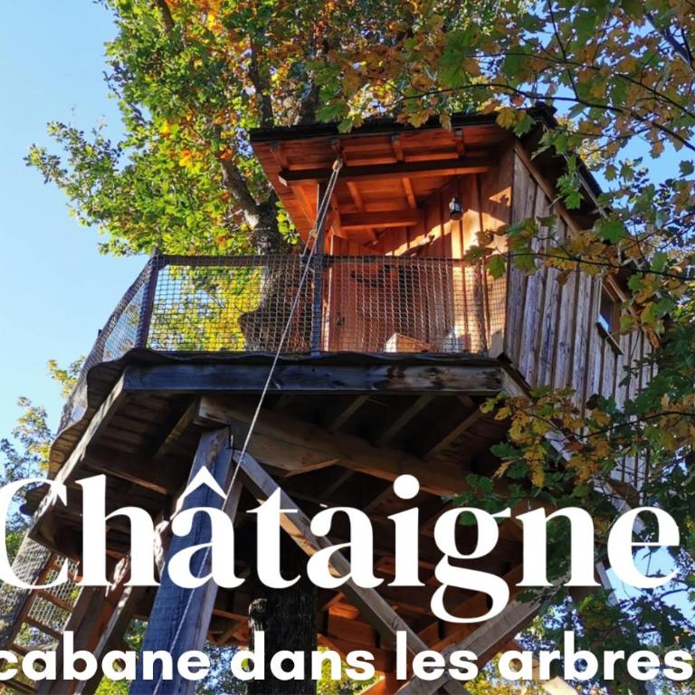 Les Cabanes de Fontfroide - Chalet 1 Chambre - 1