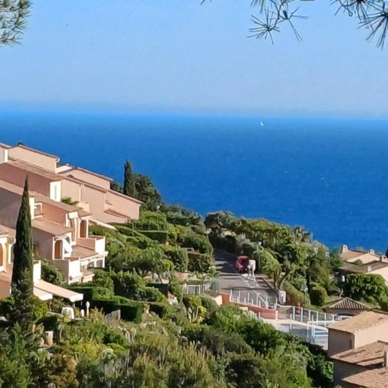 Tous à la piscine au BELVEDERE vue mer - Villa mit 2 Schlafzimmern - 4