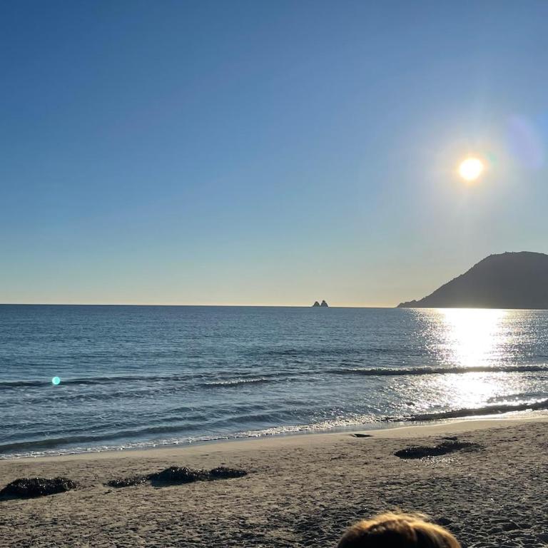 Appartement aux Sablettes, vue mer, plages en bas de la résidence - Apartment mit 1 Schlafzimmer - 5