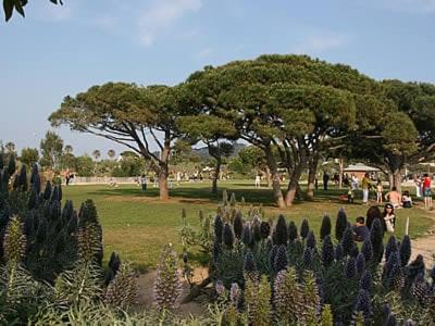 Appartement aux Sablettes, vue mer, plages en bas de la résidence - Apartment mit 1 Schlafzimmer - 7