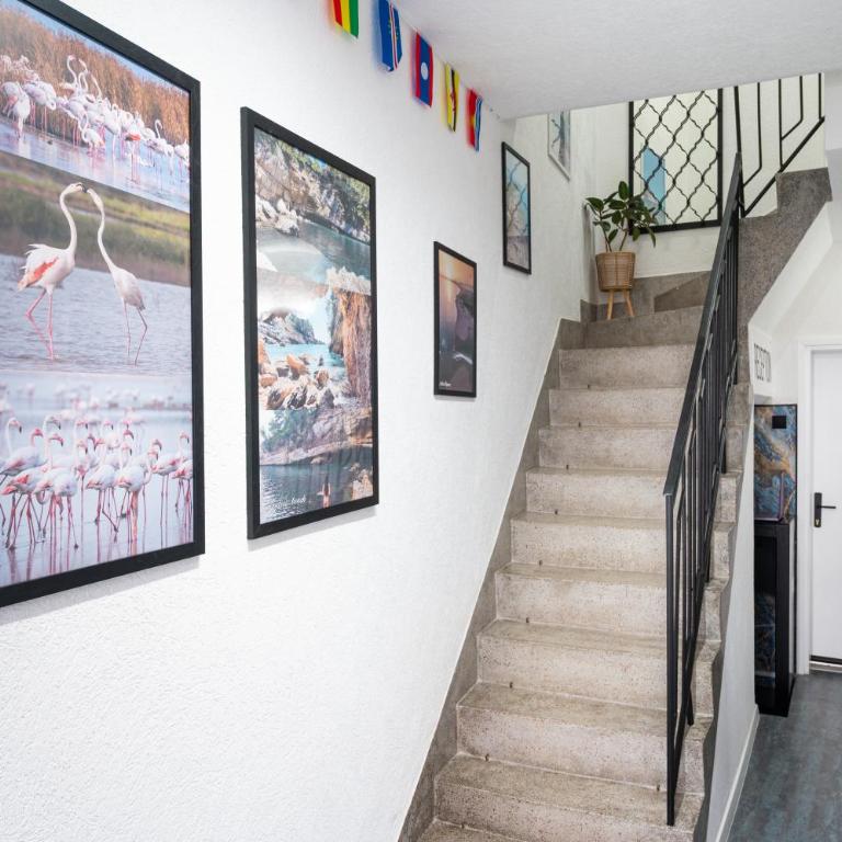 Hostel Four Rooms - Krevet na Sprat u Mešovitoj Spavaonici - 15