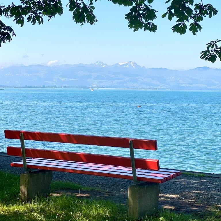 Ferienhaus 's Sommerhäusle - gemütlich und modern mit Garten in Lindau - Vacation Home - 31