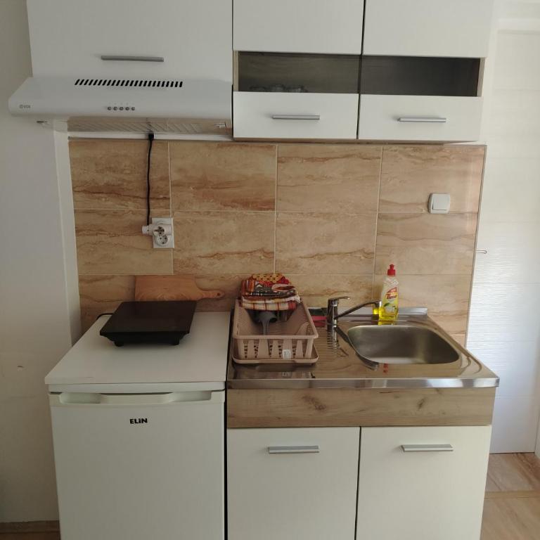 Apartmani Trifunović 2 - Apartman sa 1 Spavaćom Sobom - 19