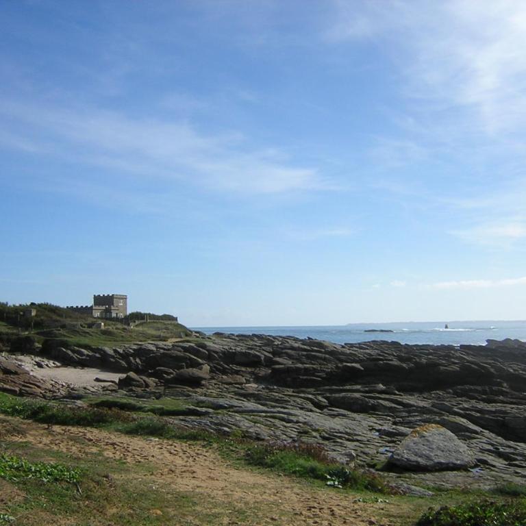 Grand studio lumineux ,centre ville, grande plage,Quiberon IZE1UU - Apartment mit 1 Schlafzimmer - 17