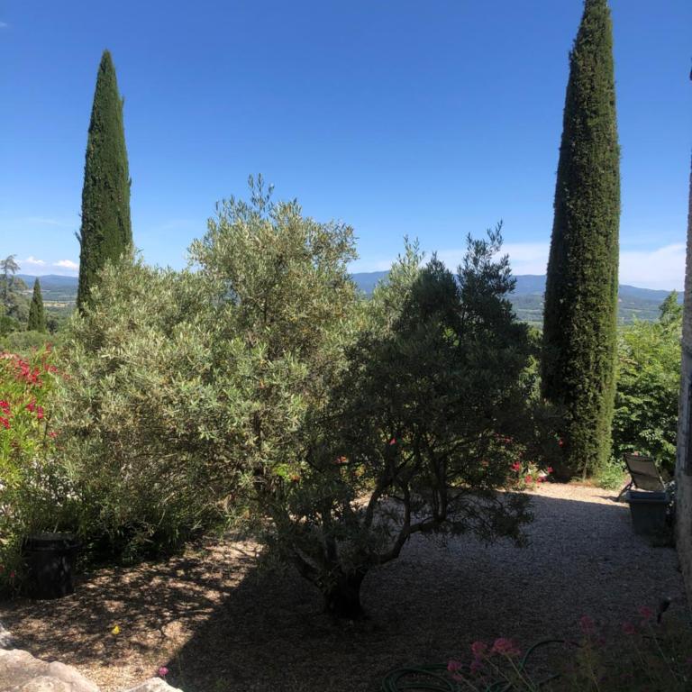 Le Logis - Grande Chambre Double - 18
