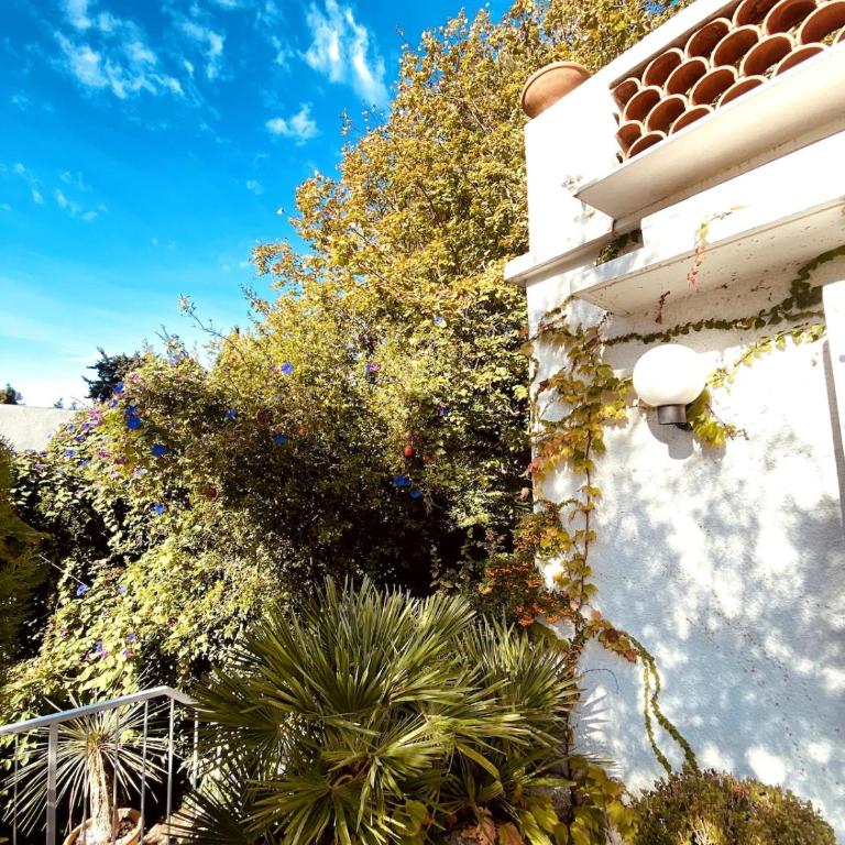 Élégance Provençale, Oasis de verdure, Bassin de 14m pour 1 à 6 personnes - Villa 3 Chambres - 23