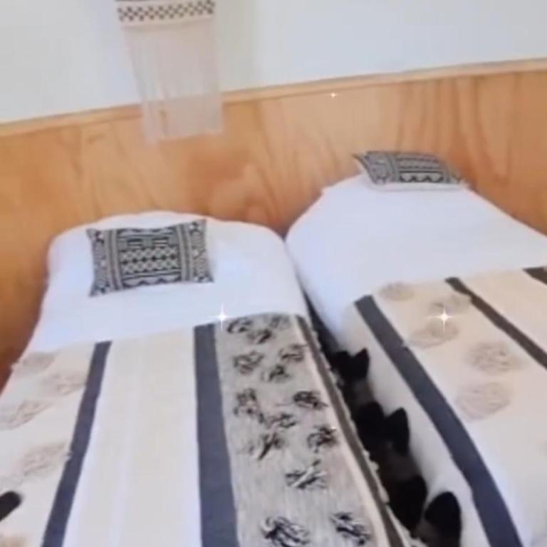 Hermoso domo geodesico 2 - Apartamento de 1 dormitorio - 6