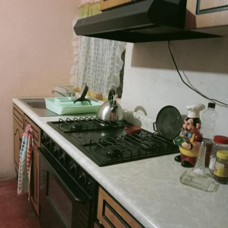 Comfortable stay south of CDMX - Apartamento de 1 dormitorio - 2