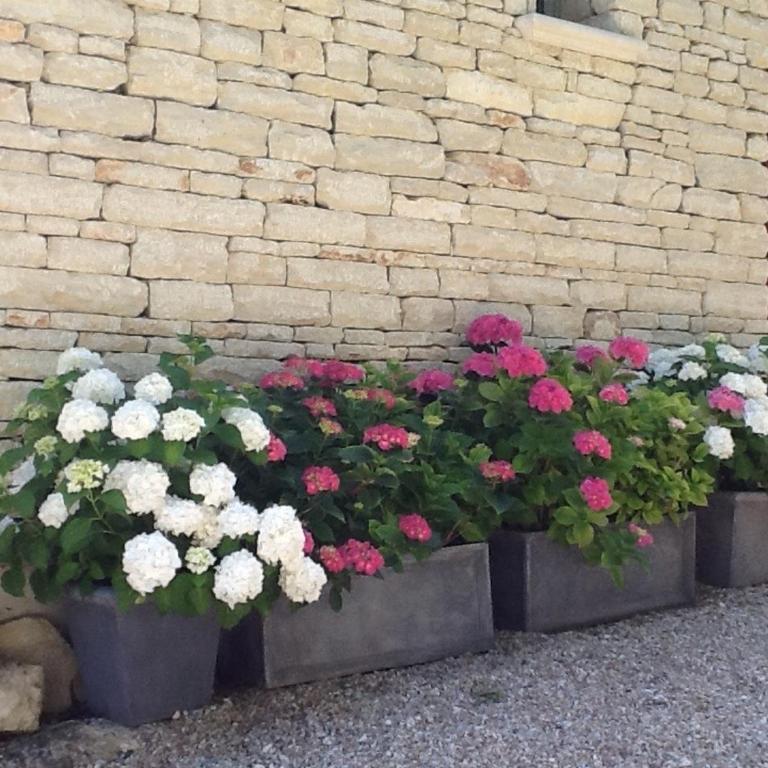 Le Logis - Grande Chambre Double - 19