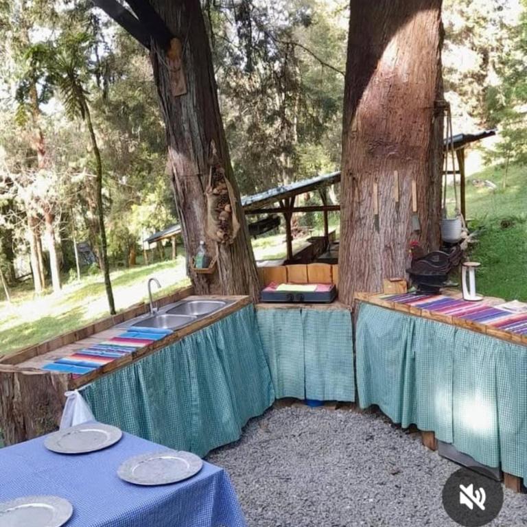 Refugio en el Árbol - One-Bedroom Apartment - 13