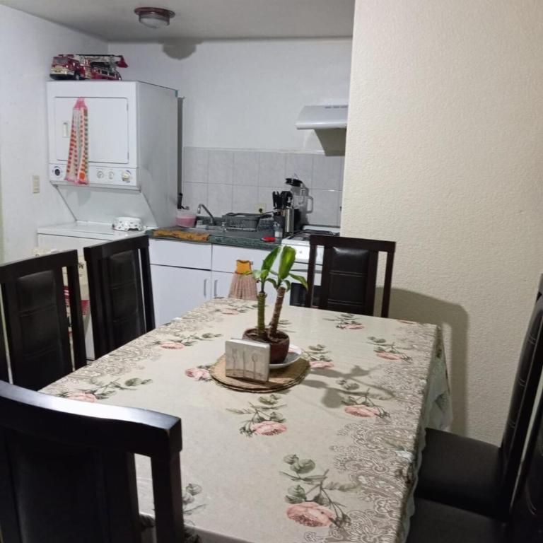 Bonito Departamento en CDMX - Two-Bedroom Apartment - 9