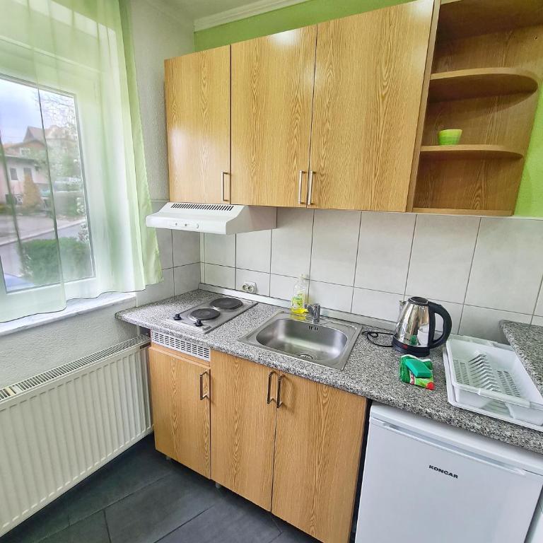 Vila Aleksandra 1 Sokobanja - Superior Studio - 5
