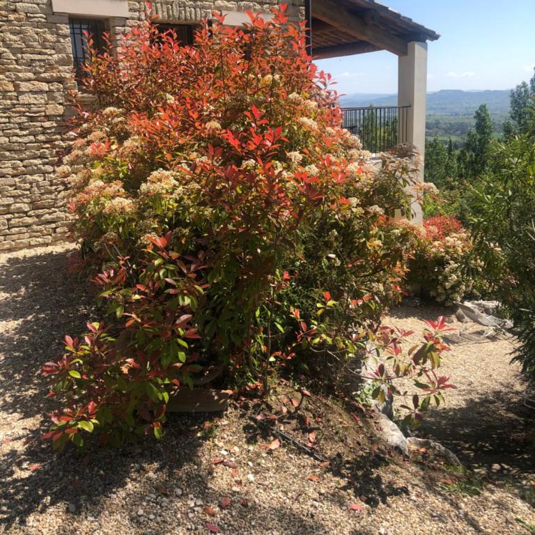 Le Logis - Grande Chambre Double - 25