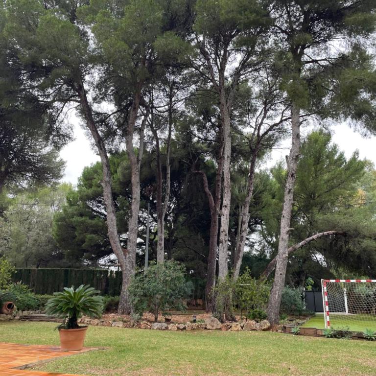 Casa con Alma - Villa - 20