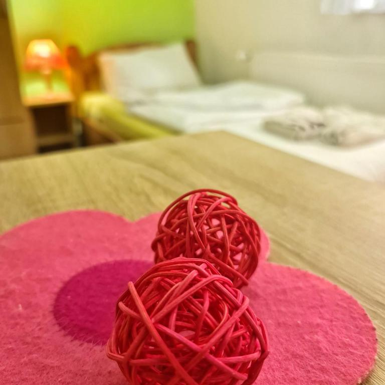 Vila Aleksandra 1 Sokobanja - Studio sa Terasom - 8