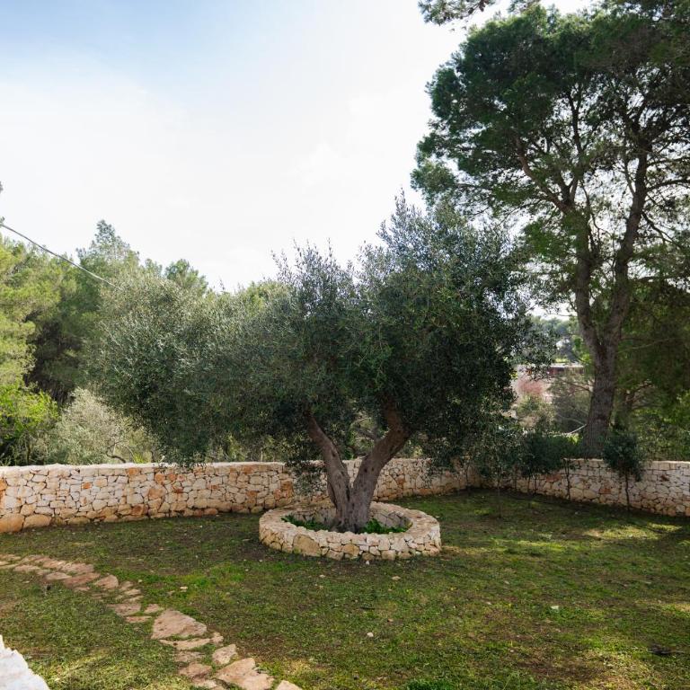 Trulli Magda - Casa con 1 Camera da Letto - 42