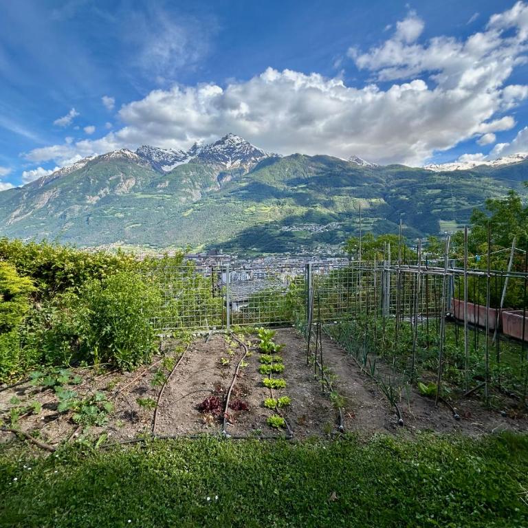 Casa Giromina - Appartamento con 1 Camera da Letto - 7