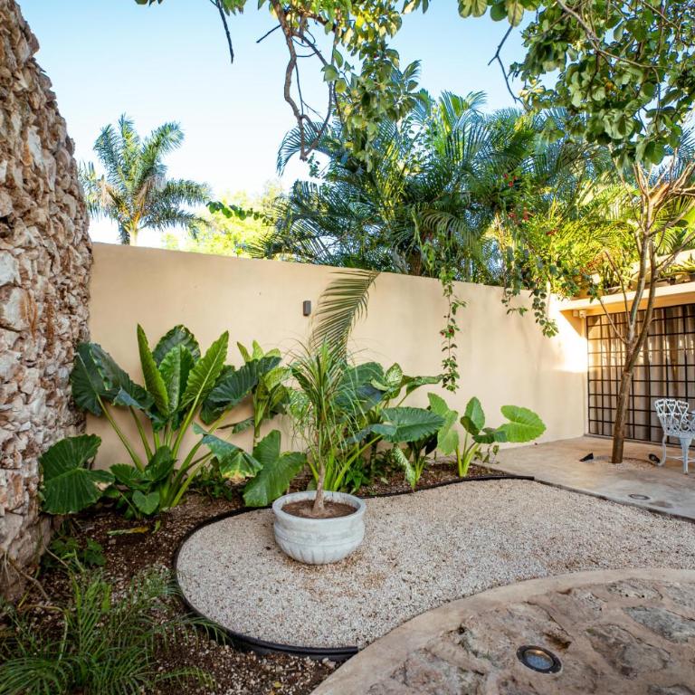 Casa Mate - Perfect Location - Casa - 8