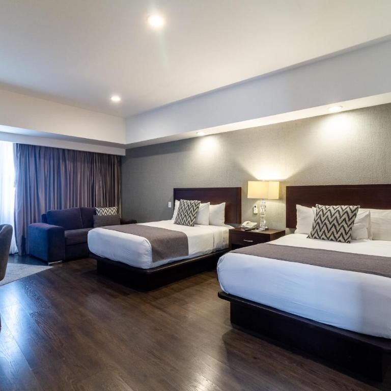 Ejecutivo Express Consulado - Suite Executive - 2