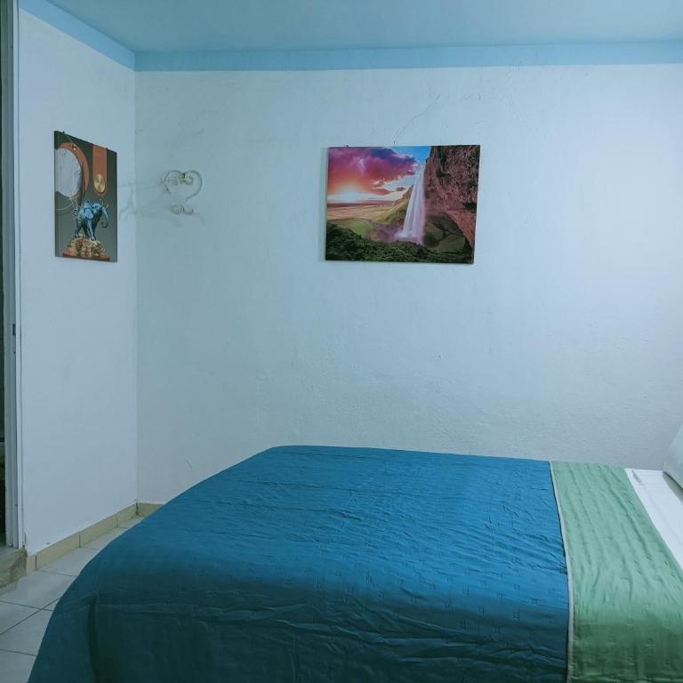 Alexandross - Standard Studio - 5