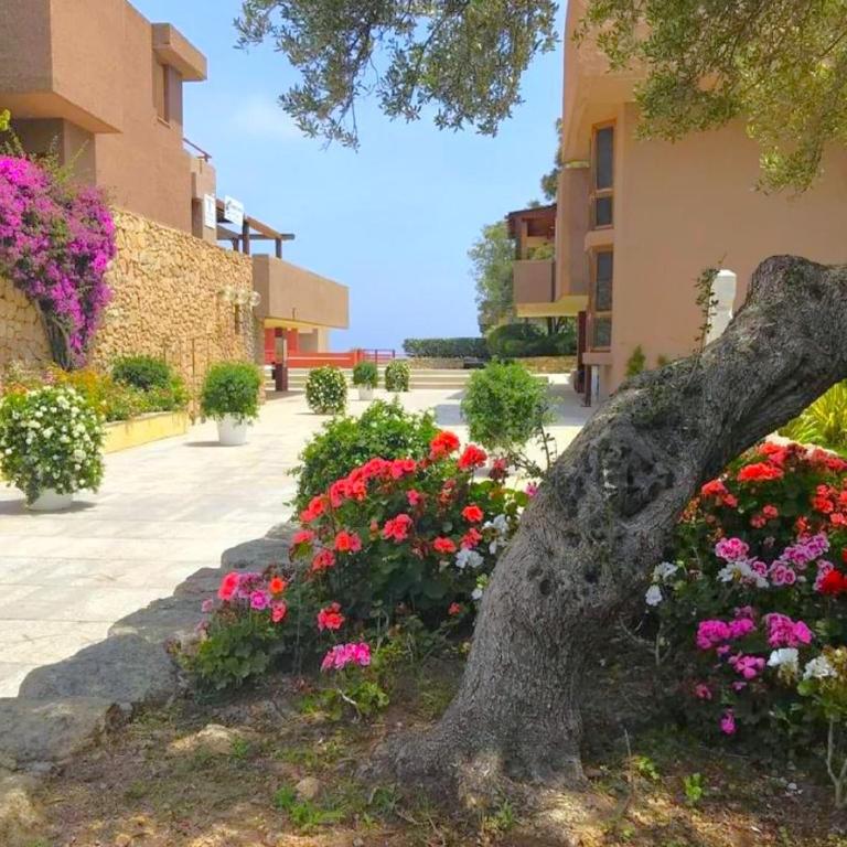 Cosy apartment in Olbia - One-Bedroom Apartment - 22
