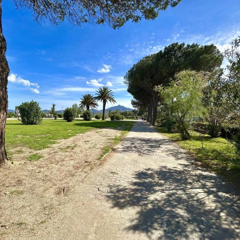 Charmant T3 Rez-de-Jardin, 50m Plage, Parking Privé - FR-1-388-238 - Apartment - 9